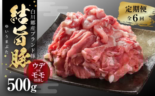 《定期便》全6回 結旨豚 ウデ又はモモ 切り落とし 500g 冷凍真空パック | 肉 お肉 豚肉 国産 食べ比べ セット 白川郷 岐阜県 白川村 ブランド豚 人気 おすすめ ギフト 飛騨高山ミート 30000円 [MS103]