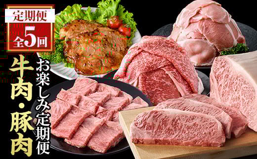 ＜定期便・全5回(連続)＞毎月違うお肉をお届け！お楽しみ定期便 (合計2.66kg以上)  牛肉 豚肉 定期便 【ナンチク】  T47