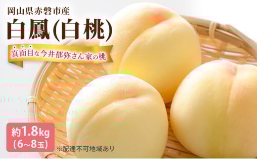 桃 2025年 先行予約 真面目な今井郁弥さん家の桃 白桃 白鳳 約1.8kg 6～8玉 フルーツ 果物 岡山 赤磐市産