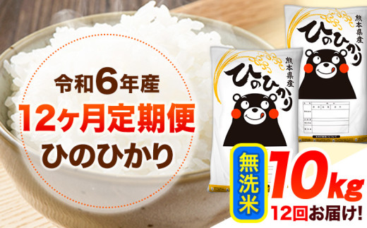令和6年産 【12ヶ月定期便】 無洗米 ひのひかり 10kg 《お申し込み月の翌月から出荷開始》 熊本県産 無洗米 精米 ひの 送料無料 熊本県 山江村 SDGs 米 コメ こめ 国産 1607371 - 熊本県山江村