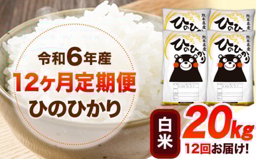 令和6年産 【12ヶ月定期便】 白米 ひのひかり 20kg 《お申し込み月の翌月から出荷開始》 熊本県産 白米 精米 ひの 送料無料 熊本県 山江村 SDGs 米 コメ こめ 国産 1607359 - 熊本県山江村
