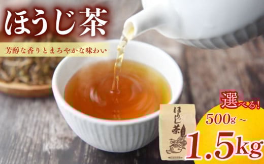 選べる容量 ほうじ茶 500g 宇治 宇治茶 お茶 日本茶 国産 飲料 高級 京都府 京都 井手町