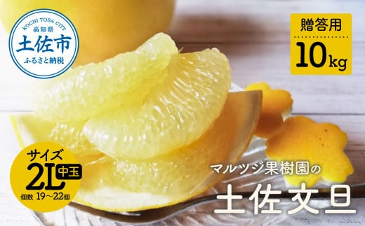 マルツジ果樹園の土佐文旦 贈答用(中玉) 約10kg 10キロ 2Lサイズ 19~22個入り ぶんたん ブンタン フルーツ 柑橘 みかん 果物 くだもの 柑橘類 デザート お取り寄せ 国産
