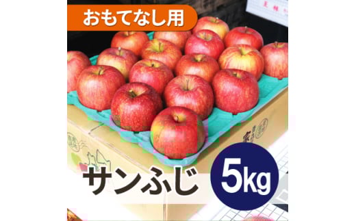 ＜26年5月出荷予定＞平均糖度13度以上! サンふじ 約5kg おもてなし用 CA貯蔵 クール便【1612838】 2078317 - 青森県青森市