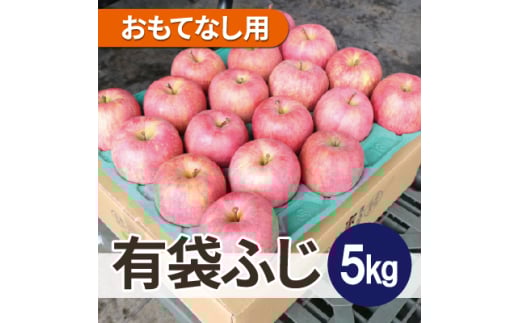 ＜26年6月出荷予定＞平均糖度13度以上! 有袋ふじ 約5kg おもてなし用 CA貯蔵 クール便【1613047】 2084308 - 青森県青森市