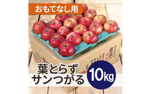 ＜2025年9月発送予定＞平均糖度12度以上!葉とらずサンつがる 約10kg おもてなし用 クール便【1607022】 2059307 - 青森県青森市
