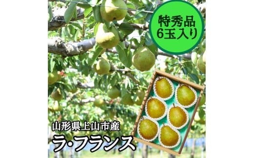 西洋梨(ラ・フランス) 6玉 特秀品 0055-2519 331133 - 山形県上山市