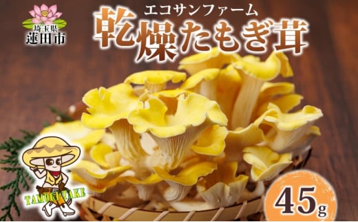 乾燥たもぎ茸 15g×3 (45g) 小分け 乾物 エルゴチオネイン 食物繊維 国産 お取り寄せ グルメ こだわり 簡単調理 タモギダケ きのこ 出汁 旨味 ヘルシー 食感 和洋中 送料無料 埼玉県 蓮田市