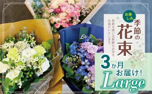 3か月 お届け お楽しみ！ 季節 の 花束 「Large」 | ブーケ タイプ 高さ約40cm 横幅約23cm お花 flower フラワー ふらわー 花 はな リトルシード インテリア 植物 定期便 お任せ お見舞い ギフト お祝い 誕生日 親孝行 プレゼント贈り物 新鮮 調布 東京都 1114118 - 東京都調布市