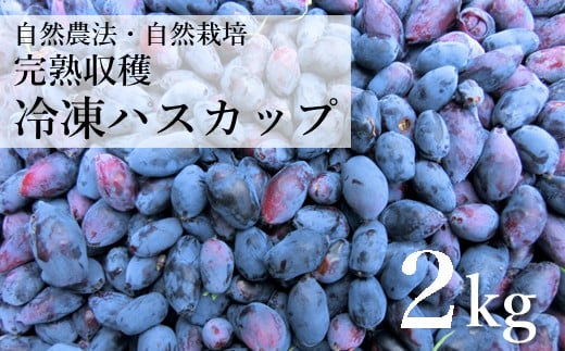 自然農法 冷凍 ハスカップ ( 2kg )  完熟収穫 栽培期間中 農薬不使用 農家 直送 遠野もぐもぐカントリー 【2025年6月下旬より順次発送予定】