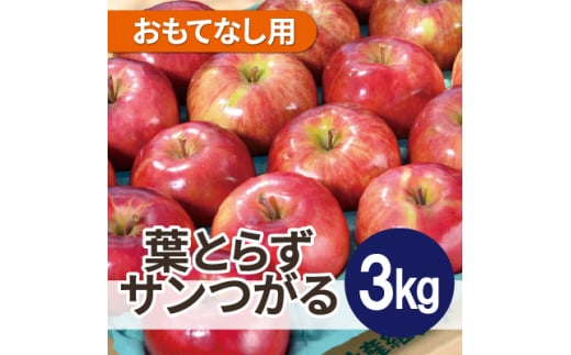 ＜2025年10月発送予定＞平均糖度12度以上! 葉とらずサンつがる 約3kg おもてなし用【1607040】 2059311 - 青森県青森市