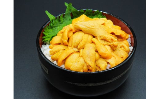 【先行予約】【数量/期間限定】三崎の赤ウニ（塩水パック） 約80g ※北海道・東北地方・沖縄・離島への配送不可（2025年8月上旬より順次発送） 【 ふるさと納税 人気 おすすめ ランキング うに ウニ 赤ウニ 塩水パック 塩水 パック 雲丹 三崎 海鮮 新鮮 愛媛県 伊方町 送料無料 】 IKTJ017