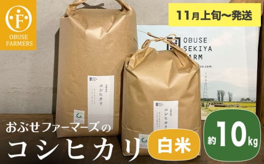 コシヒカリ 白米  約10kg ［ おぶせファーマーズ ］ お米 コメ おこめ ご飯 精米 長野県産 【2025年11月上旬～発送】 ［FK-12］ 2030302 - 長野県小布施町