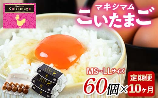 【TVで話題沸騰！】10か月定期便！とにかく黄身が濃いたまご「マキシマムこいたまご」60個入り F21C-201