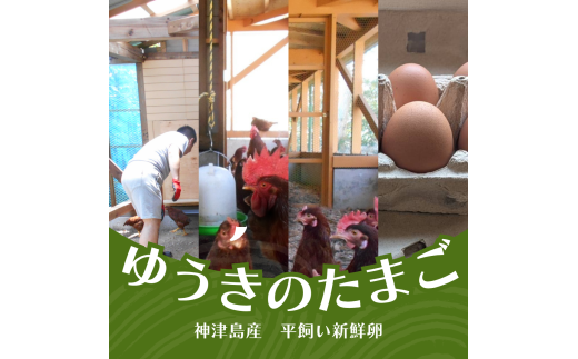 10月発送[神津島産]産み立て新鮮卵