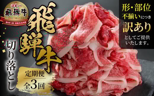 《定期便》 3回 訳あり 飛騨牛 切り落とし 500g 肉 飛騨牛 定期 切落し 飛騨高山ミート 30000円  | 冷凍真空パック 肉 お肉 黒毛和牛 和牛 人気 おすすめ 牛肉 [MZ110] 2151148 - 岐阜県白川村