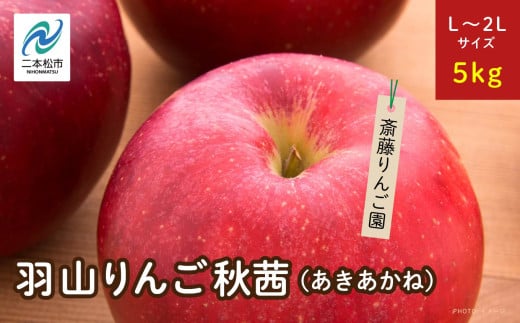 《2025年10月下旬以降順次発送》羽山のりんご　秋茜L〜2Lサイズ5kg りんご リンゴ 果物 フルーツ 羽山りんご 5kg 秋茜 人気 くだもの おすすめ お中元 お歳暮 ギフト 二本松市 ふくしま 福島県 送料無料【斎藤りんご園】 1317878 - 福島県二本松市