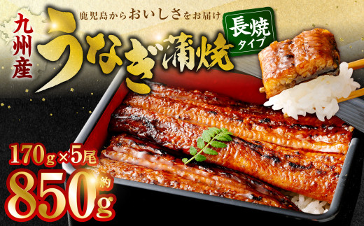 DSR-102 九州産 無頭うなぎ蒲焼 約170g×5尾 計850g 1409537 - 鹿児島県薩摩川内市