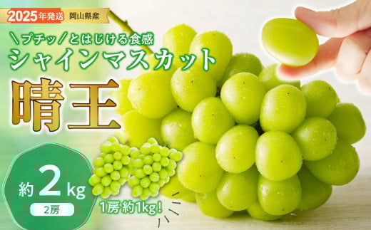 GG-9　シャインマスカット 晴王 秀品 特大 約2kg 2房 岡山県産 ぶどう ギフト 御礼 プレゼント 御礼 御祝 御供 果物 くだもの フルーツ 2137375 - 岡山県和気町