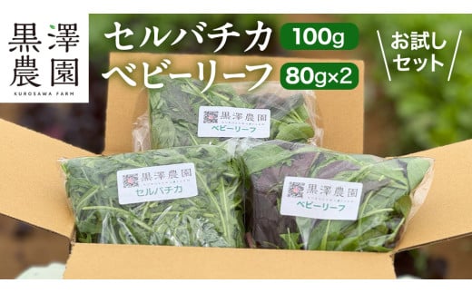 セルバチカ (ワイルドルッコラ) 100g と ベビーリーフ (80g × 2パック) の 黒澤農園 お試しセット ベビーリーフサラダ 生野菜 食べやすい 若葉 ファミリー 旬 新鮮 国産 彩り サラダ さらだ ルッコラ ハーブ 新鮮 国産 辛い セルバチコ ベビーリーフ イタリア野菜 イタリア料理  イタリアン パスタ 高級 トッピング 大容量 たっぷり 味見