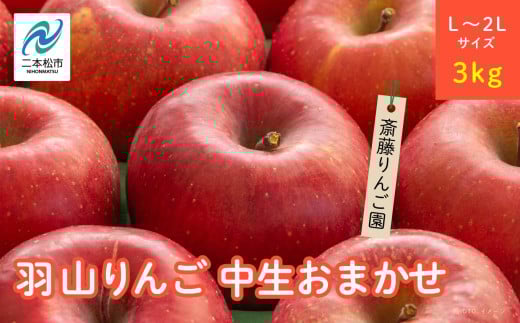 《2025年10月以降順次発送》羽山のりんご　中生おまかせL〜2Lサイズ3kg りんご リンゴ 果物 フルーツ 羽山りんご 3kg 中早生ふじ ふじ 人気 くだもの おすすめ お中元 お歳暮 ギフト 二本松市 ふくしま 福島県 送料無料【斎藤りんご園】 1317881 - 福島県二本松市