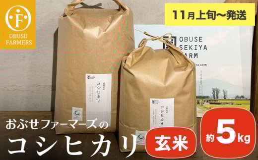 コシヒカリ 玄米 約5kg [ おぶせファーマーズ ] お米 コメ おこめ ご飯 精米 長野県産 [2025年11月上旬〜発送] [FK-13]