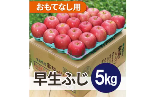 ＜2025年11月発送予定＞平均糖度13度以上! 早生ふじ 約5kg おもてなし用【1607551】 2059335 - 青森県青森市