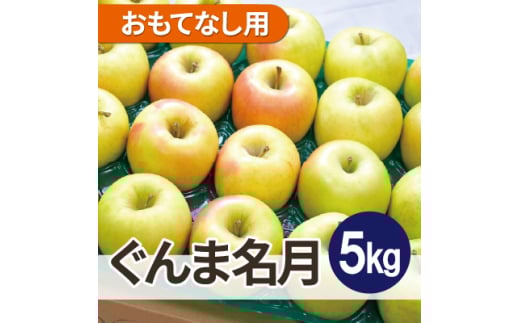 ＜26年1月出荷予定＞平均糖度13度以上! ぐんま名月 約5kg おもてなし用【1612891】 2084258 - 青森県青森市