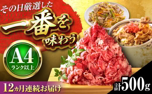 【全12回定期便】【A4〜A5】博多和牛 切り落とし 500g 吉富町/株式会社MEAT PLUS [BGAB100]