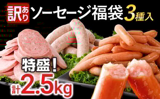 訳あり！特盛！ソーセージ食べ比べまんぷく福袋 合計2.5kg！ おかず 惣菜 ウインナー ソーセージ 3種 大容量 粗挽き お弁当 食べ比べ 冷凍 ストック おつまみ 博多の薫り やみつきJUMBO ボロニア