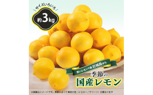 青いレモンの島 レモン約3kg【1092711】 - 愛媛県上島町 青いレモンの島 レモン約3kg【1092711】 - 愛媛県上島町