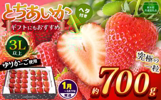 【栃木県共通返礼品】【1~3月発送分】【先行予約】とちあいか 3L以上ホール詰め 700g | いちご とちあいか 香貴 朝採れ 大粒 新鮮 甘い  数量 限定 美味しい 果物 共通返礼品 フルーツ デザート 栃木県 那珂川町 送料無料