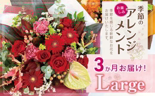 3か月 お届け お楽しみ！ 季節 の アレンジメント 「Large」 | アレンジ タイプ 高さ約42cm 横幅約40cm お花 flower フラワー ふらわー 花 はな リトルシード インテリア 植物 定期 定期便 お任せ お見舞い ギフト お祝い 誕生日 親孝行 プレゼント贈り物 新鮮 調布 東京都 1114117 - 東京都調布市