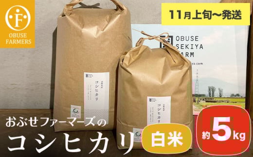 コシヒカリ 白米 約5kg [ おぶせファーマーズ ] お米 コメ おこめ ご飯 精米 長野県産 [2025年11月上旬〜発送] [FK-11]