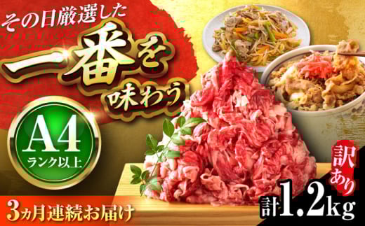 【全3回定期便】【訳あり】【A4~A5】博多和牛 切り落とし 1.2kg(600g×2P) 吉富町/株式会社MEAT PLUS [BGAB092]
