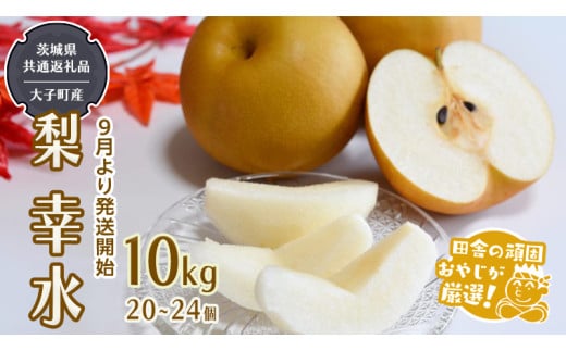 梨 幸水 10kg(20〜24個 )[2025年8月より発送開始](茨城県共通返礼品 [梨]:大子町産)田舎の頑固おやじが厳選!