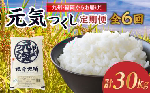 九州・福岡からお届け！ブランド米「元気つくし」定期便【全6回】 お米 米 コメ 白米 特A 直送 お弁当 おにぎり 炊きたて ツヤ 粘り もちもち 弾力 卵かけご飯 福岡県 八女市