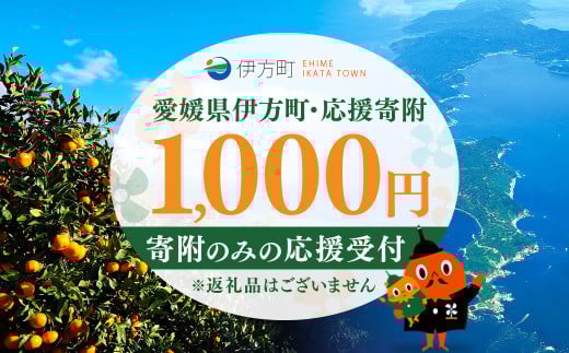 【返礼品なし】愛媛県伊方町・応援寄附1,000円（寄附のみの応援受付 ※返礼品はございません） 【ふるさと納税 人気 おすすめ ランキング 応援寄附 返礼品なし 愛媛県 伊方町 送料無料】 IKTBG001