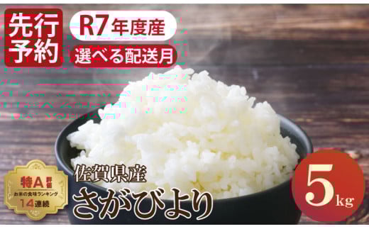 【11月出荷】先行予約 佐賀ブランド米「さがびより」5kg（5kg×1）潮風F