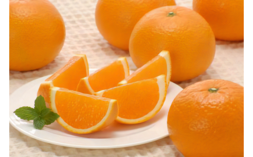 【定期便】2025年度 佐田岬の柑橘定期便（年4回）柑橘 定期 各5kg 愛媛県産（12月、2月、4月、6月発送）※離島への配送不可 【 ふるさと納税 人気 おすすめ ランキング 柑橘 みかん ミカン あいか デコポン サンフルーツ はるみ きよみ など mikan 蜜柑 果物 生果 フルーツ 定期便 愛媛県 伊方町 送料無料 】 IKTBD018
