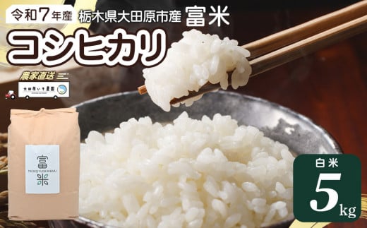 【先行予約】≪10月中旬以降発送≫ 令和7年産 栃木県大田原市産コシヒカリ「富米」 白米 5キロ ｜米 お米 新米 コメ こしひかり 5kg