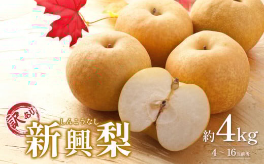 先行予約 訳あり 新興梨（しんこうなし）4kg｜鳥取 果物 フルーツ なし 梨 和梨 旬 訳アリ 数量限定【41043】 2137353 - 鳥取県岩美町