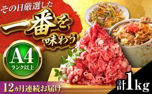 【全12回定期便】【A4〜A5】博多和牛 切り落とし 1kg(500g×2P) 吉富町/株式会社MEAT PLUS [BGAB103]
