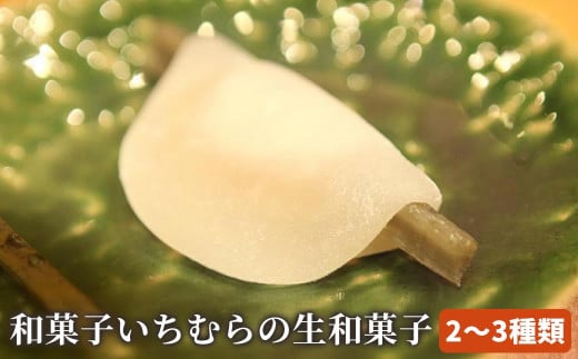 手作り 和菓子いちむらの生和菓子 12個前後 ［和菓子いちむら］和菓子 上生菓子 お菓子 お茶席 お祝い スイーツ 長野 信州 小布施 お取り寄せ 詰め合わせ 詰合せ ［A-56］ 228975 - 長野県小布施町