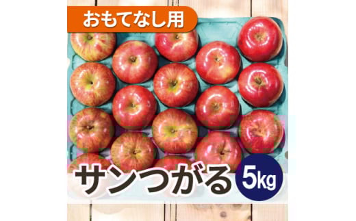 ＜2025年9月発送予定＞平均糖度12度以上! サンつがる 約5kg おもてなし用 クール便【1607450】 2059318 - 青森県青森市