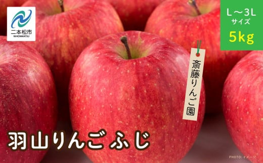 《2025年11月下旬以降順次》羽山のりんご　ふじL〜3Lサイズ5kg りんご リンゴ 果物 フルーツ 羽山りんご 5kg ふじ 人気 くだもの おすすめ お中元 お歳暮 ギフト 二本松市 ふくしま 福島県 送料無料【斎藤りんご園】 1317873 - 福島県二本松市