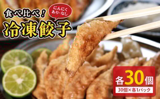 冷凍餃子 選べる容量 にんにくあり なし 食べ比べセット 各1個 餃子 セット ぎょうざ ギョウザ にんにく 青森 肉 お肉 豚肉 豚 鶏肉 鳥 おつまみ 加工品 肉汁 惣菜 お弁当 冷凍ストック 寺岡商店 香川県 丸亀市