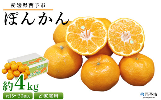 [愛媛県西予市産 ぽんかん ご家庭用 約4kg]約15〜30個入り 訳あり 果物 くだもの フルーツ みかん ミカン オレンジ ポンカン 柑橘 特産品 愛媛県 西予市[常温]