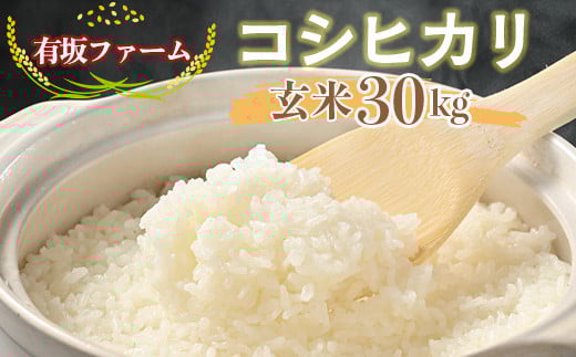 ≪先行受付≫有坂ファームの令和7年産コシヒカリ 玄米30kg 1545318 - 栃木県塩谷町
