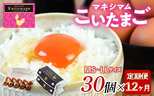 【TVで話題沸騰!】12か月定期便!とにかく黄身が濃いたまご「マキシマムこいたまご」30個入り F21C-192 2141759 - 福島県伊達市